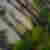 WW6