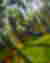 WW7