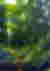 WW18