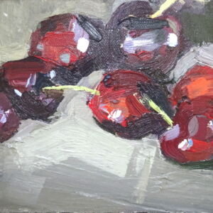 AMC013 Amanda Coleman Dark Grey with Cherries