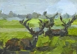 AMC017 Amanda Coleman Woburn Deer Park