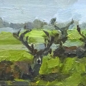 AMC017 Amanda Coleman Woburn Deer Park