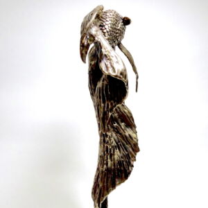 ASZ025 GOLDFISH BACK