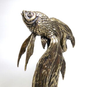 ASZ025 GOLDFISH CROPPED