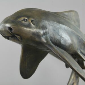 Photo 06 04 2024 12 17 04 31 1