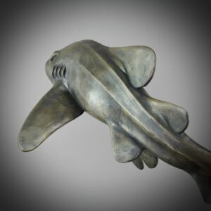 Photo 06 04 2024 12 17 04 32