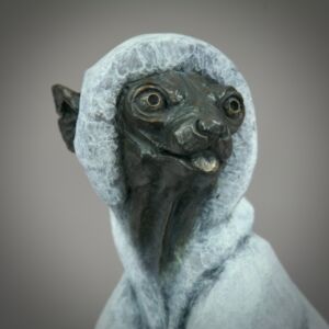 Photo 06 04 2024 12 17 04 35