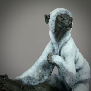 Photo 06 04 2024 12 17 04 36 1