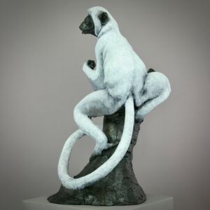 Photo 06 04 2024 12 17 04 37