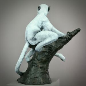 Photo 06 04 2024 12 17 04 38