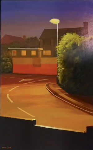 DAL009 Corner David Lake