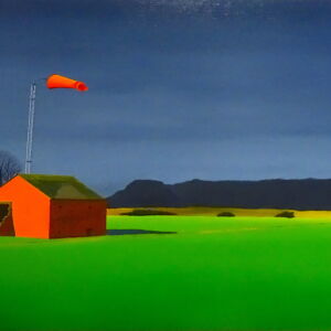 DAL017 Windsock David Lake