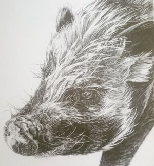 HEM001 Heather Mead Ralph the Pig