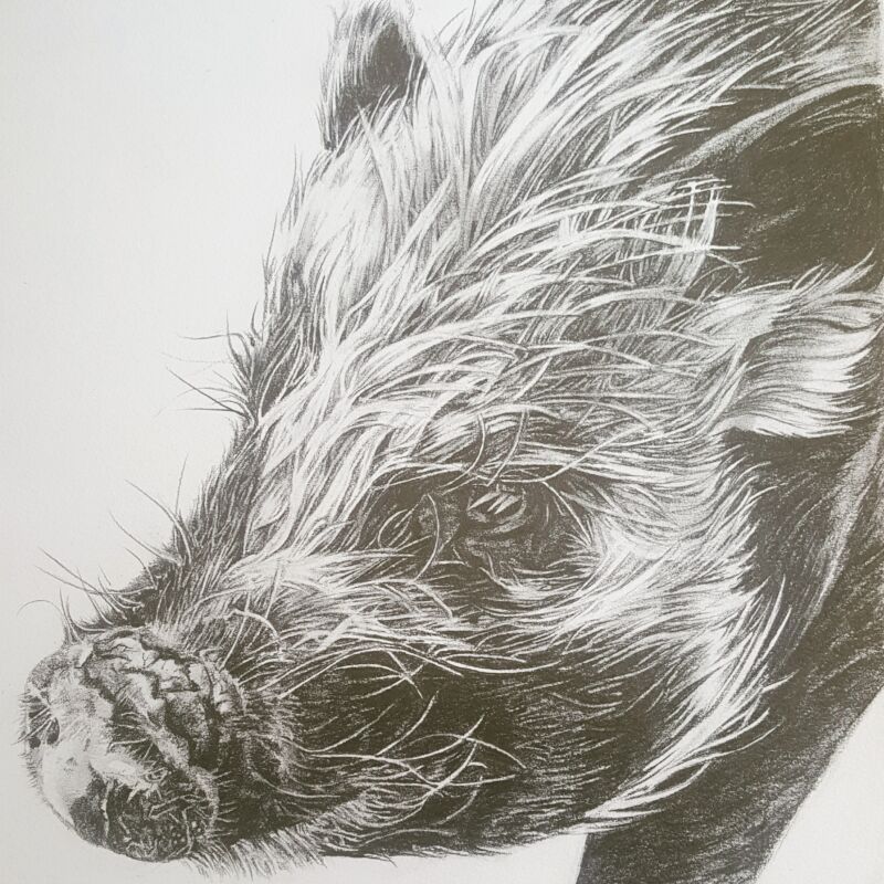 Heather Mead Woburn Mosaic