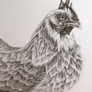 HEM002 Heather Mead Peaches the Chicken