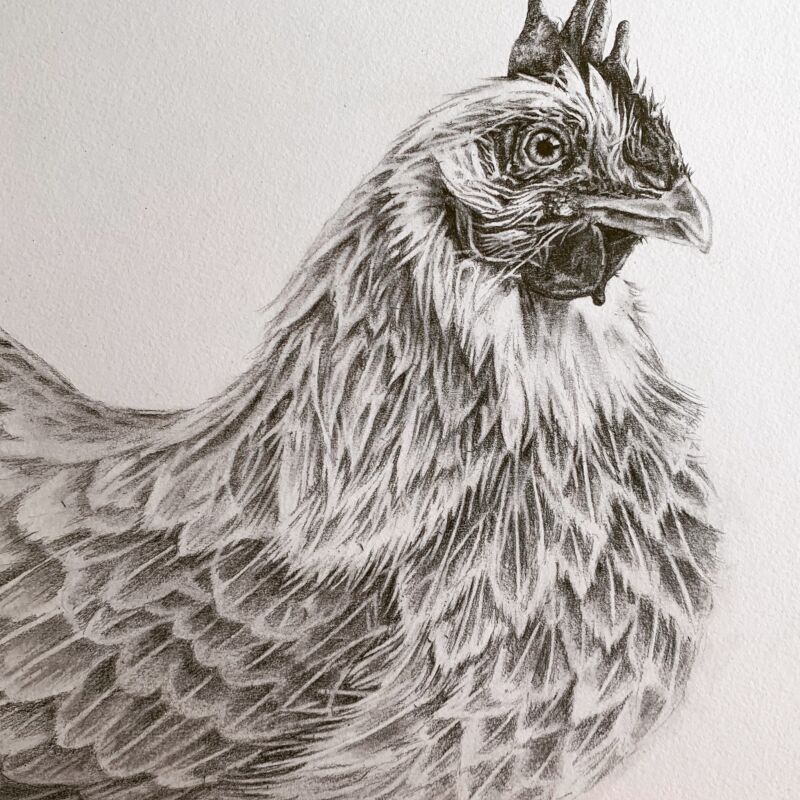 Heather Mead Woburn Mosaic