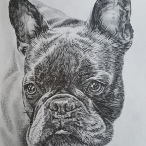 HEM003 Heather Mead Benji the French Bulldog