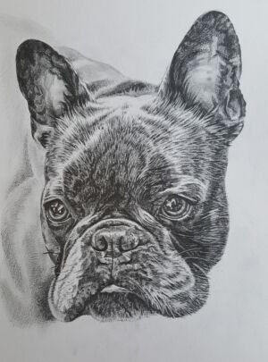 HEM003 Heather Mead Benji the French Bulldog
