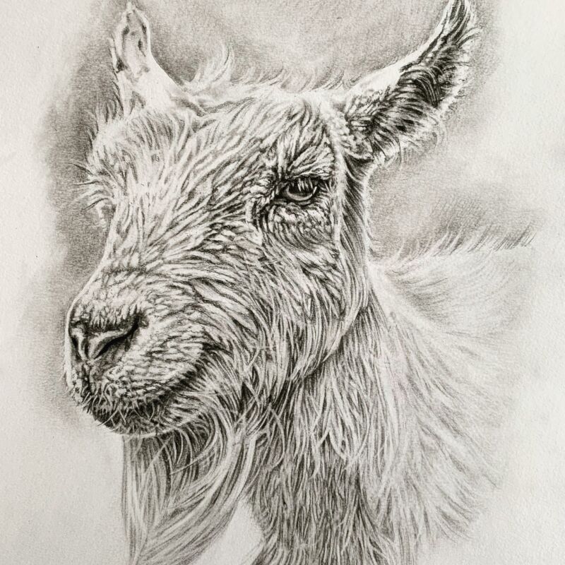 Heather Mead Woburn Mosaic