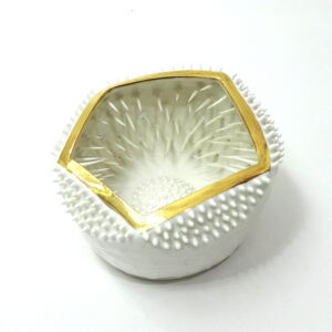IKI006-Ikuko-Iwamoto-Spiky-Thorn-Bowl