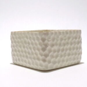 Side-Diagonal-Ikuko-Iwamoto-Internal-Spiky-Square-Bowl-Small