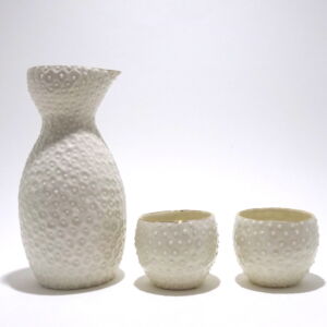 Side-Spout-Ikuko-Iwamoto-Nucleolus-Sake-Set-White
