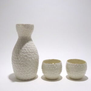 Front-Ikuko-Iwamoto-Nucleolus-Sake-Set-White