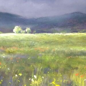 Close Up Jane Rhodes Approaching Summer Storm