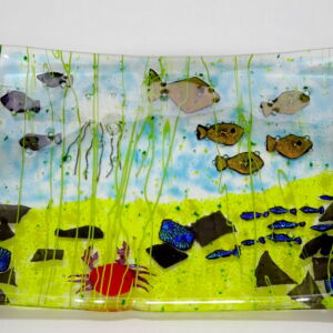 JSP001 UNDERWATER DISH