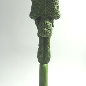 Front-Jonathan-Hateley-Bud