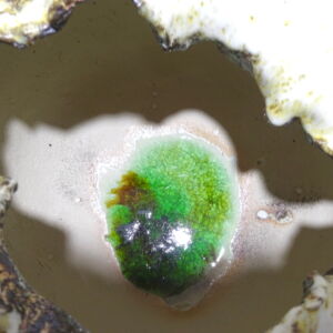 Close-Up-Inside-Julie-OSullivan-Large-Vessel