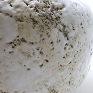 Close-Up-SIde-Julie-OSullivan-Large-Vessel