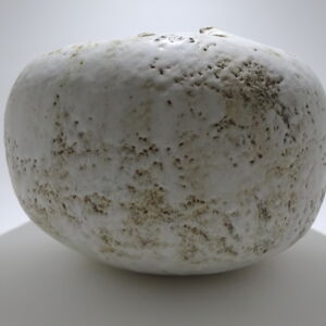 Low-Side-Julie-OSullivan-Large-Vessel