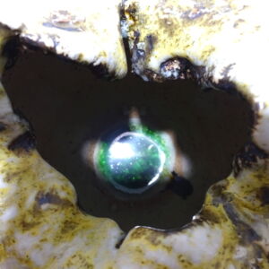 Close-Up-Inside-Julie-OSullivan-Small-Vessel