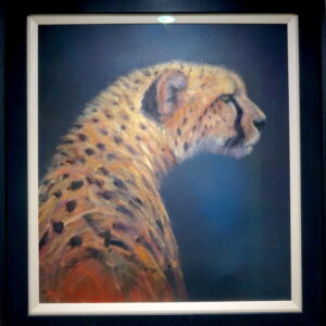 JUT004 CHEETAH
