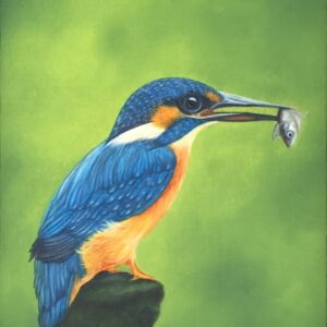 KAW003 Kay Wardley Kingfisher