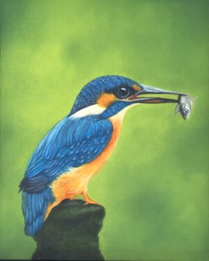 KAW003 Kay Wardley Kingfisher