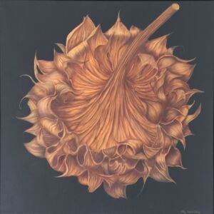 KAW004 Kay Wardley Sunflower
