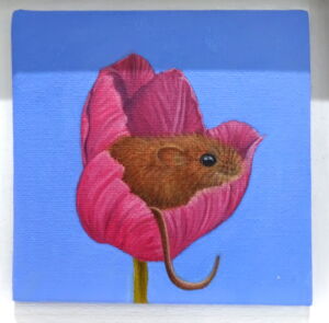 KAW007 Kay Wardley Taking In The View