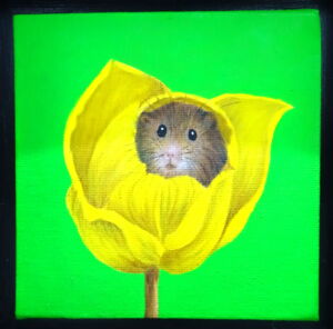 KAW008 Kay Wardley Just Chilling