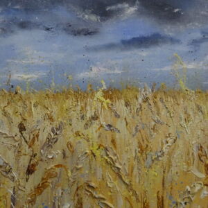 NAM003 CORN FIELDS DETAIL