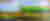 NEM004 WOLD