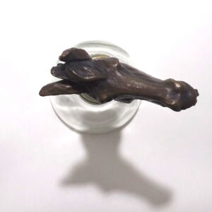 Above-Nick-Davis-Donkey-Head-Bottle-Stopper