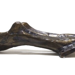 Side-2-Nick-Davis-Double-Foot-Coat-Hook