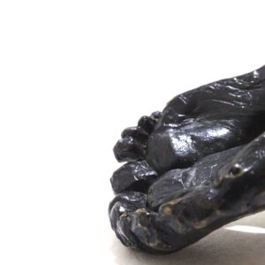 Close-Up-Nick-Davis-Double-Foot-Coat-Hook