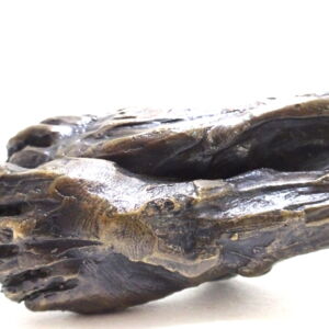 Close-Up-Nick-Davis-Double-Foot-Coat-Hook