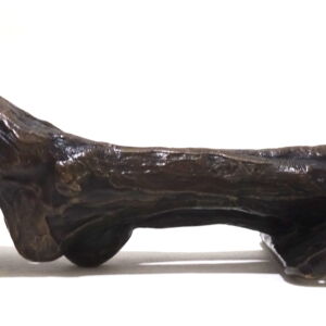 Side-2-Nick-Davis-Double-Foot-Coat-Hook