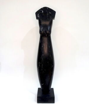 NIC2305 BLACK FUSION