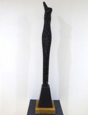 NIC2317 BLACK FOSSIL TORSO