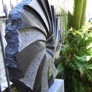 NIM008 TUMBLE CROPPED